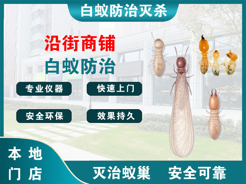 无锡市沿街商铺白蚁防治