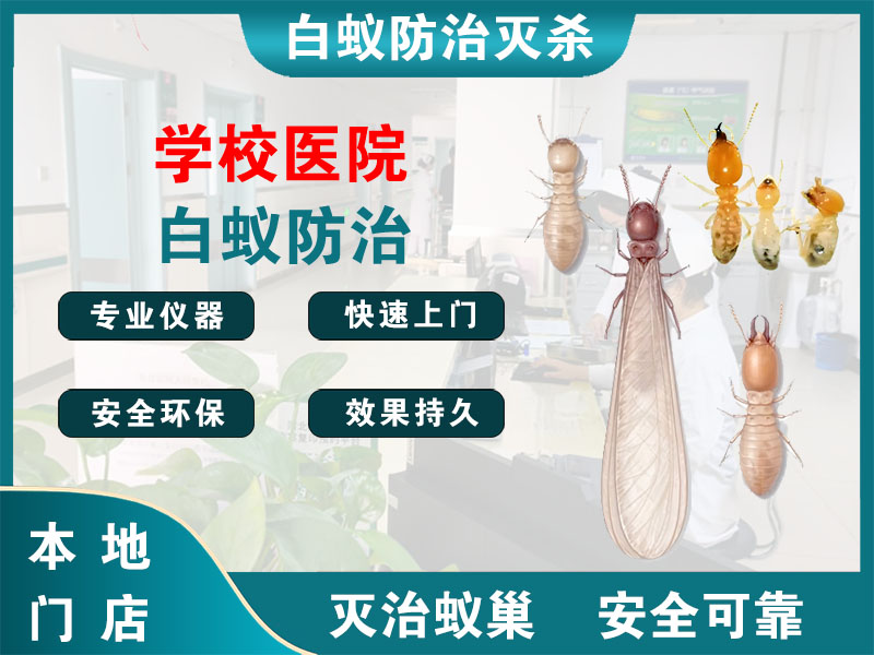 无锡市学校医院白蚁防治