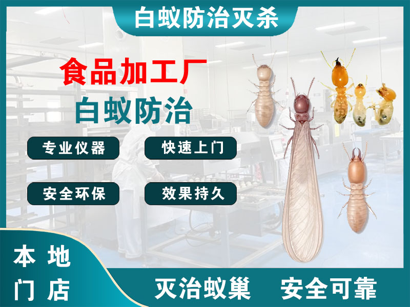 无锡市食品加工厂白蚁防治