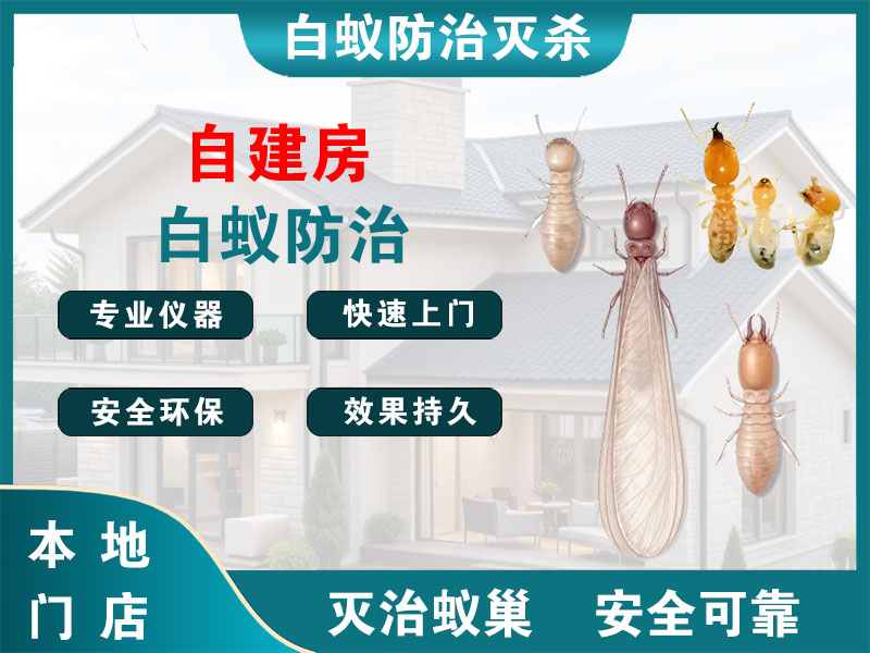 无锡市自建房白蚁防治