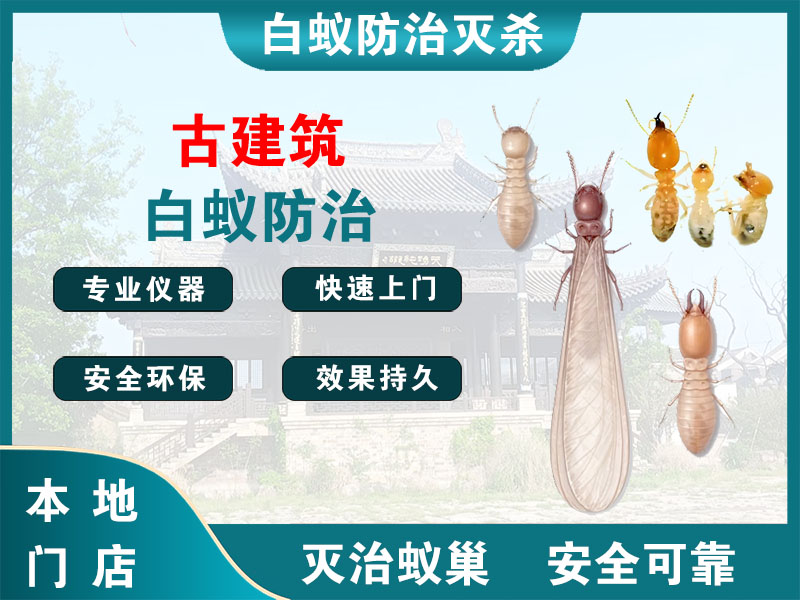 无锡市古建筑白蚁防治