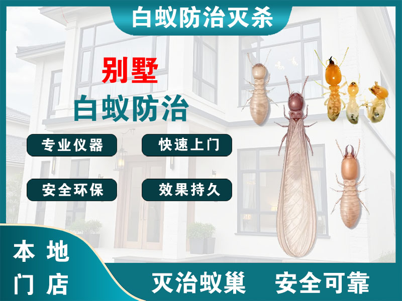 无锡市别墅白蚁防治