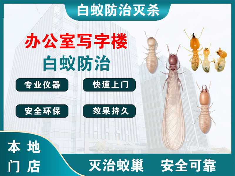 无锡市办公室写字楼白蚁防治