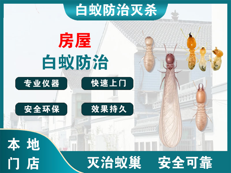 无锡市房屋白蚁防治